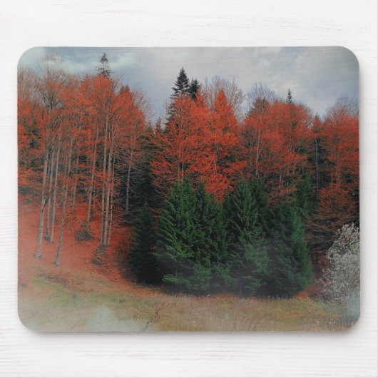 Tapis De Souris Mousepad Octobre Forêt Rouge Vert (Devant)