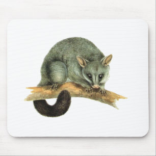 Tapis De Souris Mousepad - opossum