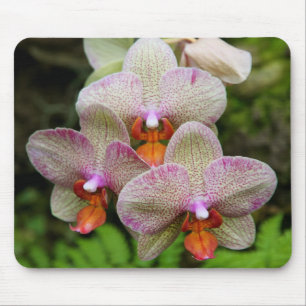 Tapis De Souris Mousepad - orchidée