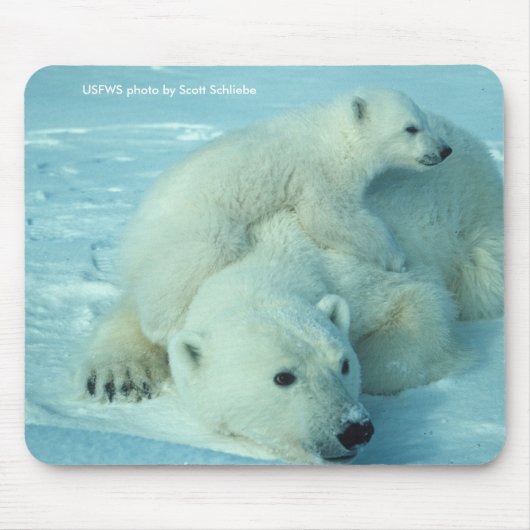 Tapis De Souris Mousepad/ours blanc et CUB (Devant)