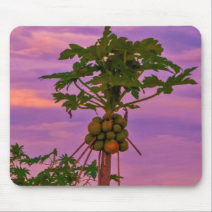 Tapis De Souris Mousepad Papaya Tree Et Coucher De Soleil Brésilie