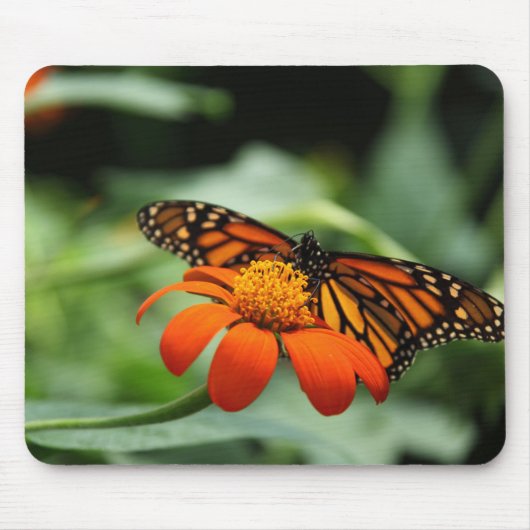 Tapis De Souris Mousepad papillon monarque (Devant)