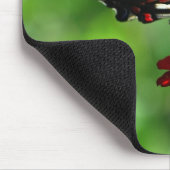 Tapis De Souris Mousepad, papillon Zebra Swallowtail (Coin)