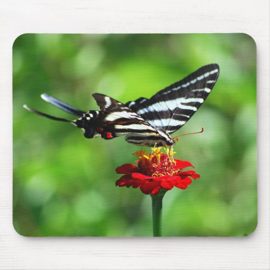 Tapis De Souris Mousepad, papillon Zebra Swallowtail (Devant)