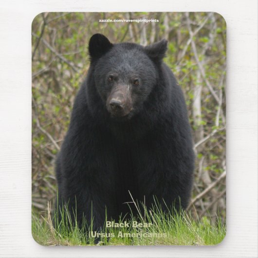 Tapis De Souris Mousepad, partisan de la faune de l'ours noir (Devant)