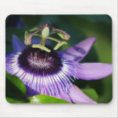 Tapis De Souris Mousepad Passionfruit pourpre (Devant)