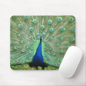 Tapis De Souris Mousepad - Peacock (Avec souris)