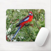 Tapis De Souris Mousepad perroquet rouge (Avec souris)