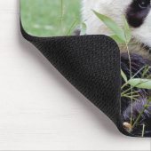 Tapis De Souris Mousepad. Photo giant panda. Panda geant. (Coin)