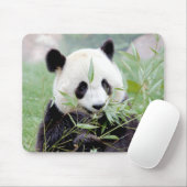 Tapis De Souris Mousepad. Photo giant panda. Panda geant. (Avec souris)
