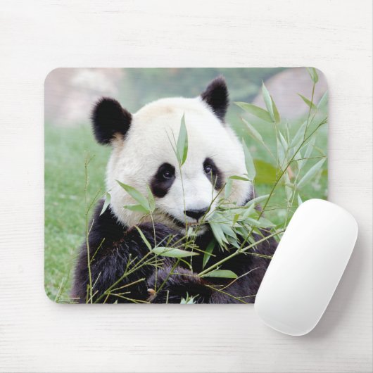 Tapis De Souris Mousepad. Photo giant panda. Panda geant. (Avec souris)