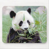 Tapis De Souris Mousepad. Photo giant panda. Panda geant. (Devant)