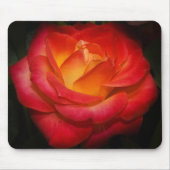 Tapis De Souris Mousepad rose de flamber (Devant)