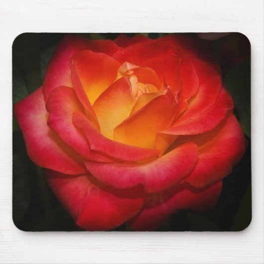 Tapis De Souris Mousepad rose de flamber (Devant)