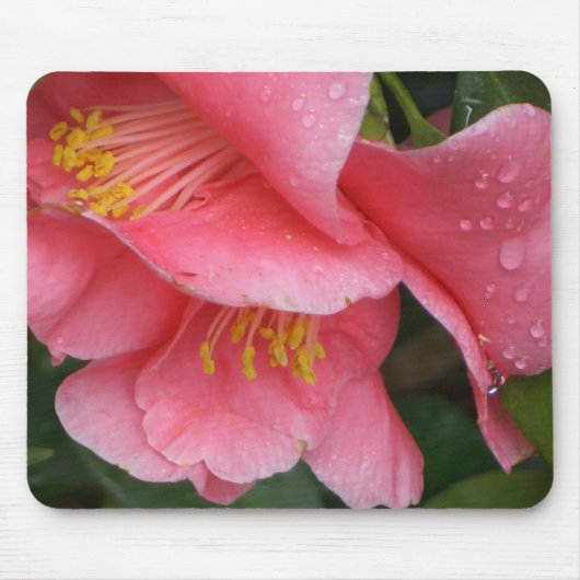 Tapis De Souris Mousepad rose de fleur de Camelia de HACHE (Devant)