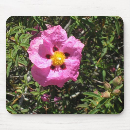 Tapis De Souris Mousepad - Rose Rock mexicain (Devant)