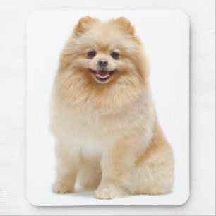 Tapis De Souris Mousepad roumain
