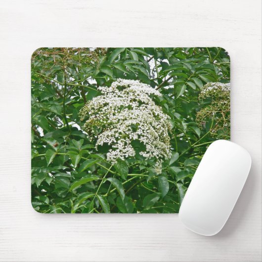 Tapis De Souris Mousepad (Sambucus canadensis) (Avec souris)
