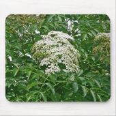 Tapis De Souris Mousepad (Sambucus canadensis) (Devant)