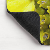 Tapis De Souris Mousepad Sonnenblumenblütchen (Coin)