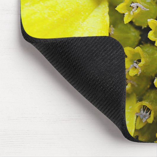 Tapis De Souris Mousepad Sonnenblumenblütchen (Coin)