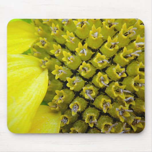 Tapis De Souris Mousepad Sonnenblumenblütchen (Devant)