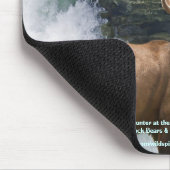 Tapis De Souris Mousepad, soutien à la faune de l'ours noir et du  (Coin)