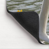 Tapis De Souris Mousepad Swan (Coin)