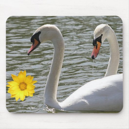 Tapis De Souris Mousepad Swan (Devant)