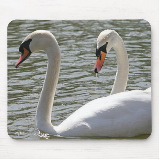 Tapis De Souris Mousepad Swan (Devant)