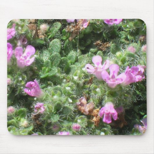 Tapis De Souris Mousepad - Thym Elfin (Devant)