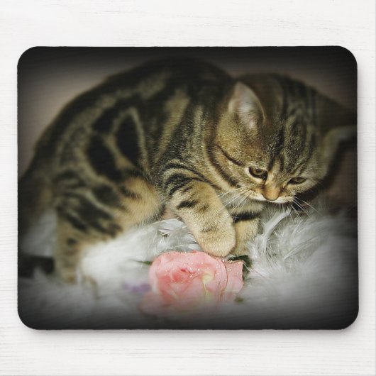 Tapis De Souris Mousepad tigré de chaton (Devant)