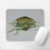 Tapis De Souris Mousepad vert d'insecte de puanteur (Avec souris)