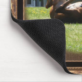 Tapis De Souris Mousepad vif de ~ de poulain (Coin)