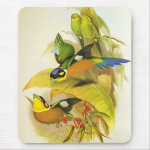 Tapis De Souris Mousepad Vintage Oiseaux à large bande à long queu