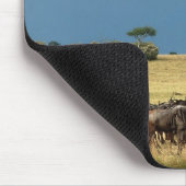 Tapis De Souris Mousepads bleus de Mara de masai de migration de (Coin)