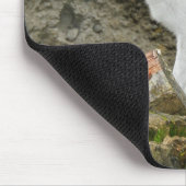 Tapis De Souris Mousepée blanche de renard arctique (Coin)