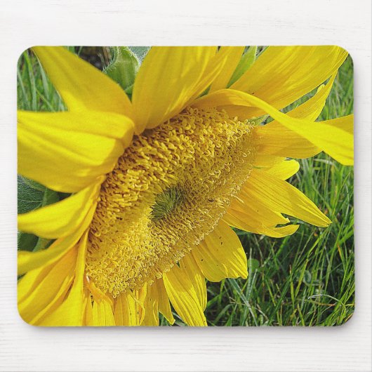 Tapis De Souris Mousepée de tournesol jaune (Devant)