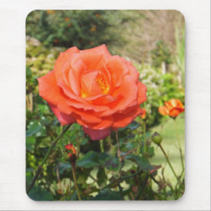 Tapis De Souris Mousepée rouge Rose