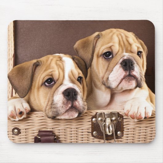Tapis De Souris Mousepties de Bulldog (Devant)
