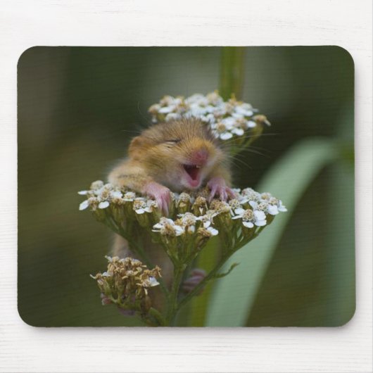 Tapis De Souris Mousie de sourire sur la fleur (Devant)