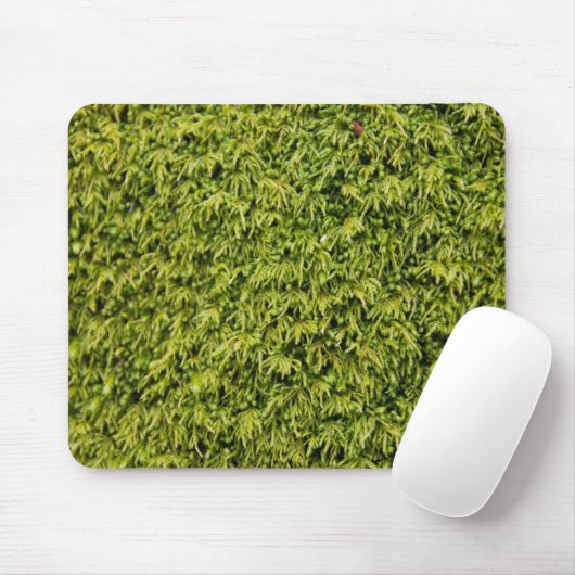 Tapis De Souris Mousse verte (Avec souris)