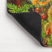 Tapis De Souris Mousses (Coin)