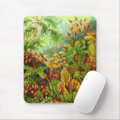 Tapis De Souris Mousses (Avec souris)