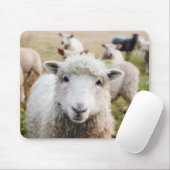 Tapis De Souris Mouton (Avec souris)