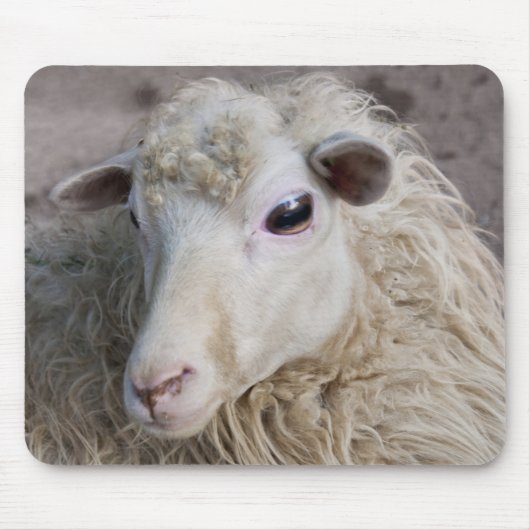 Tapis de souris mouton (Devant)