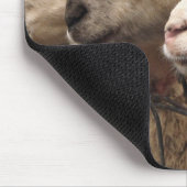 Tapis De Souris mouton (Coin)