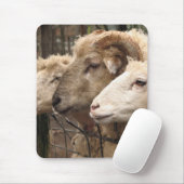 Tapis De Souris mouton (Avec souris)