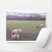 Tapis De Souris Mouton (Avec souris)