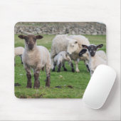 Tapis De Souris Mouton des Shetland (Avec souris)